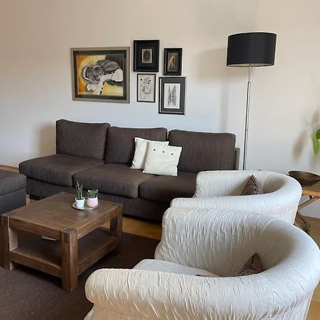 Spacious 3Br/2Bt Apartment With A/C In City Center 萨格勒布 外观 照片