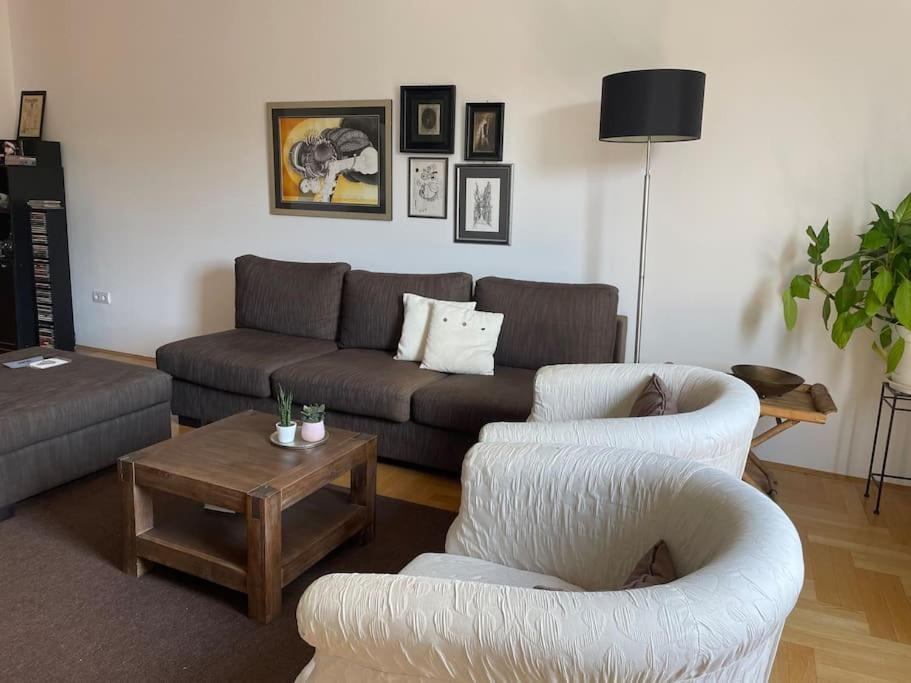 Spacious 3Br/2Bt Apartment With A/C In City Center 萨格勒布 外观 照片