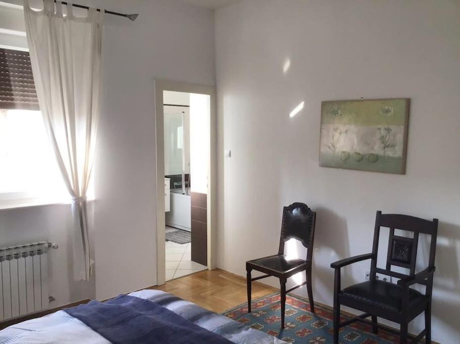 Spacious 3Br/2Bt Apartment With A/C In City Center 萨格勒布 外观 照片