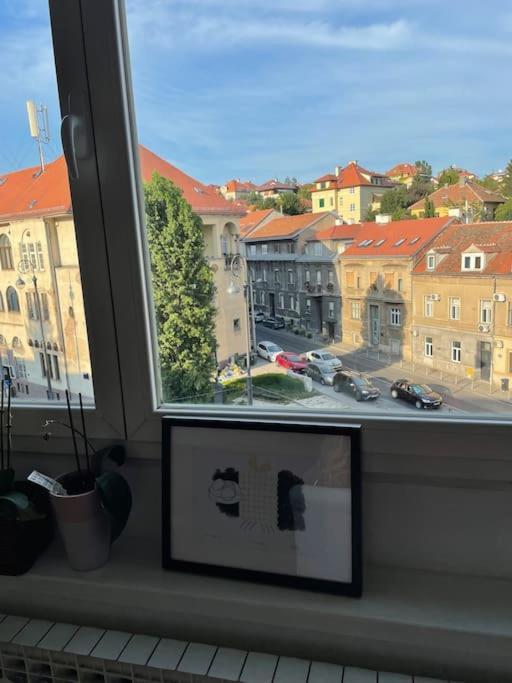 Spacious 3Br/2Bt Apartment With A/C In City Center 萨格勒布 外观 照片