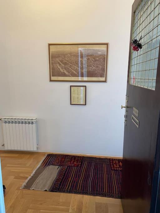 Spacious 3Br/2Bt Apartment With A/C In City Center 萨格勒布 外观 照片