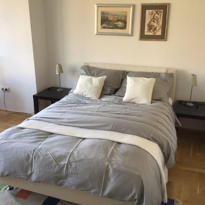 Spacious 3Br/2Bt Apartment With A/C In City Center 萨格勒布 外观 照片