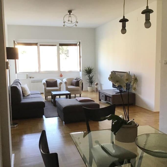 Spacious 3Br/2Bt Apartment With A/C In City Center 萨格勒布 外观 照片