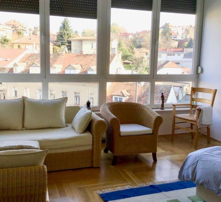 Spacious 3Br/2Bt Apartment With A/C In City Center 萨格勒布 外观 照片
