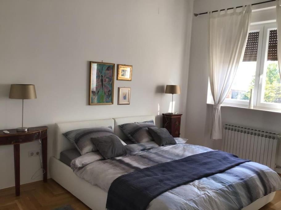 Spacious 3Br/2Bt Apartment With A/C In City Center 萨格勒布 外观 照片