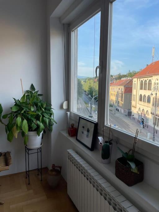 Spacious 3Br/2Bt Apartment With A/C In City Center 萨格勒布 外观 照片